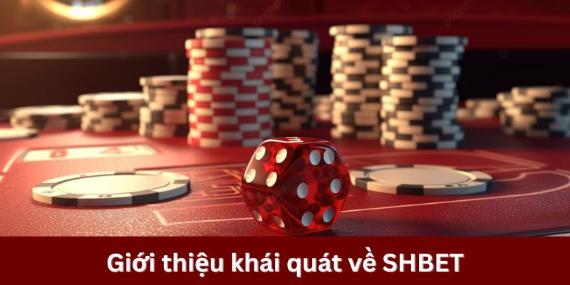 Giới thiệu khái quát về SHBET