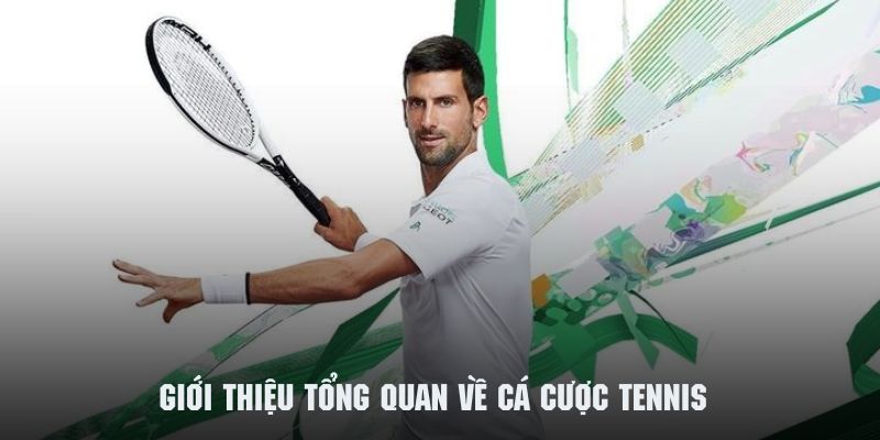 Tìm hiểu tổng quan về cá cược tennis cực hấp dẫn